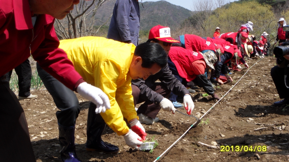 북구충효동공동작업장개똥쑥묘목식재 (2).JPG